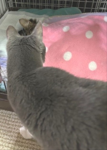 thumbnail_IMG_1314 (1)