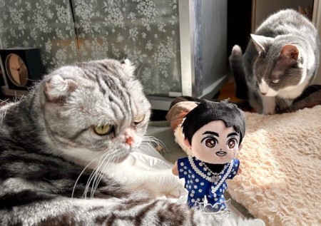 thumbnail_IMG_3299 (1)