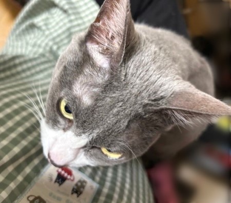 thumbnail_IMG_3726 (1)