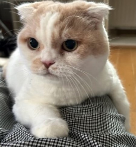 thumbnail_IMG_6309