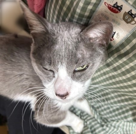 thumbnail_IMG_3728 (1)