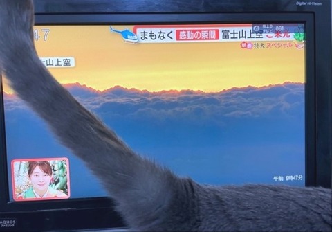 2931