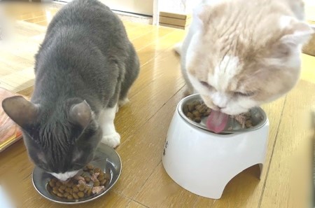 thumbnail_IMG_5128 (1)