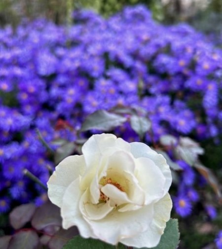 thumbnail_IMG_9598