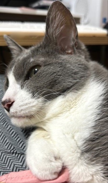 thumbnail_IMG_3462
