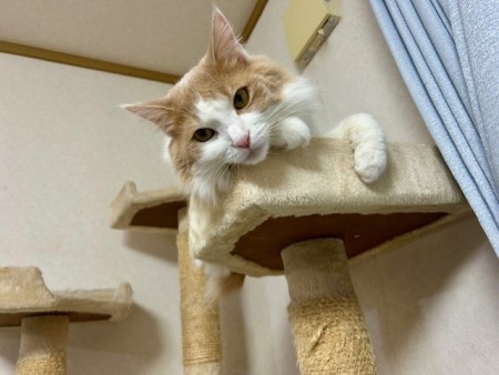 9dcdd5da-f6f0-4a9b-8eb5-ca7e0c02b5a0