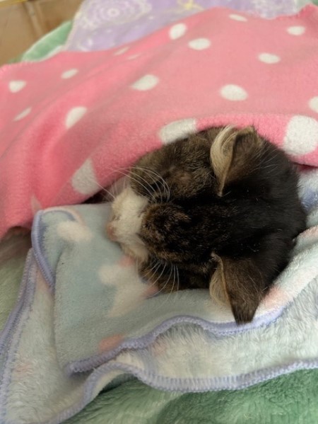 thumbnail_IMG_1320 (2)