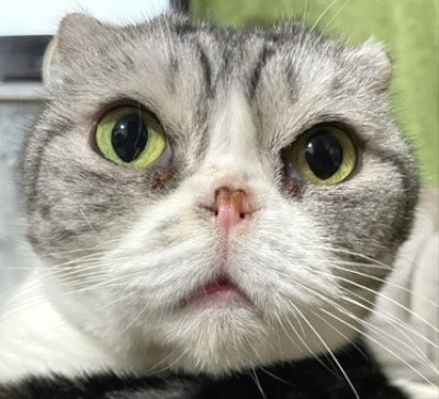 3540