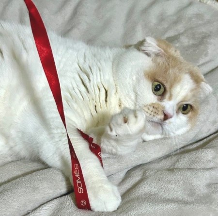 thumbnail_IMG_1438 (1)