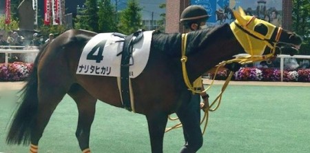 thumbnail_IMG_0458 (1)