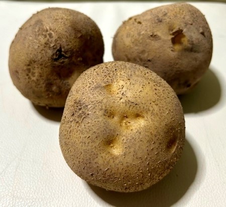 thumbnail_IMG_2663 (1)