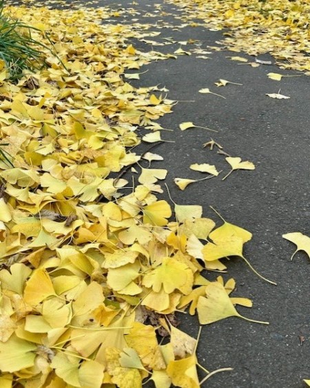 thumbnail_IMG_8006 (1)