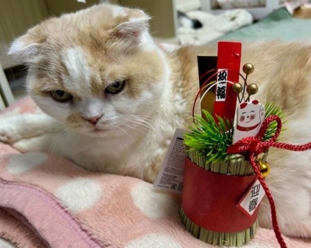 thumbnail_IMG_6094 (1)