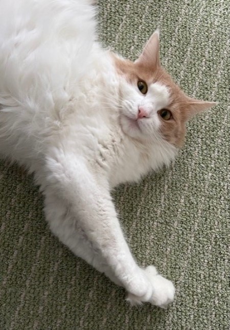 25c84cc4-aa7c-4197-9e92-195a1ec51434