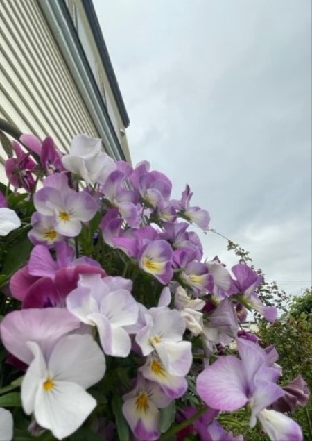 thumbnail_IMG_1204