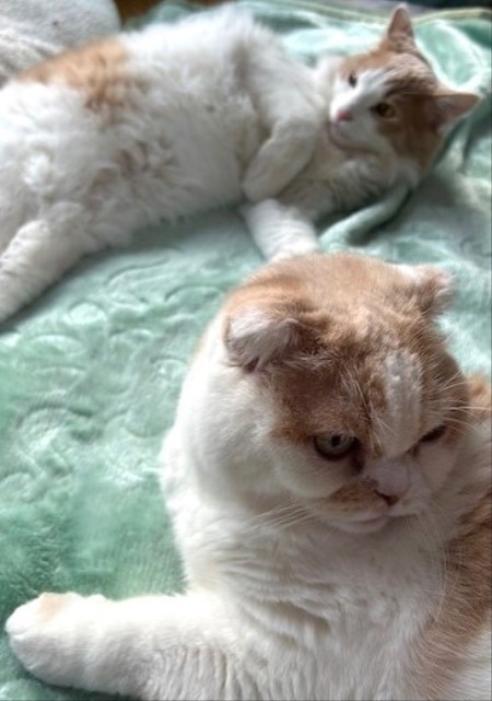 thumbnail_IMG_7803 (1)