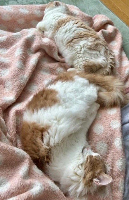 f930b7a1-c57a-4237-924b-0b395970cb37