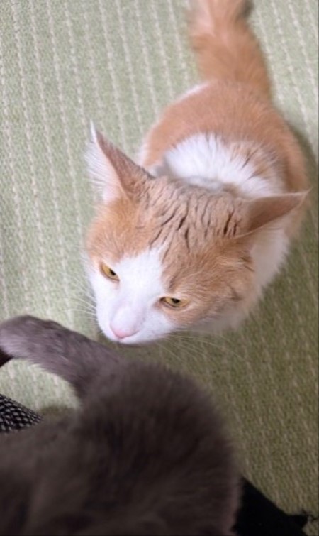 63115ded-e336-4436-8bd7-5656544bef43