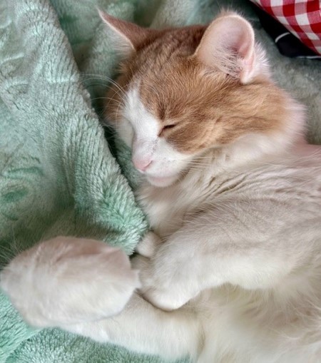 thumbnail_IMG_0191 (1)