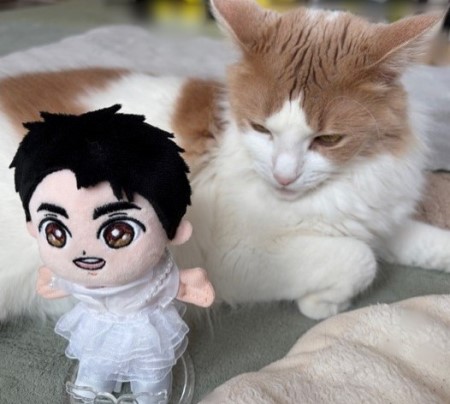 7aac7424-66f6-4bcf-9e62-20d93dd59437