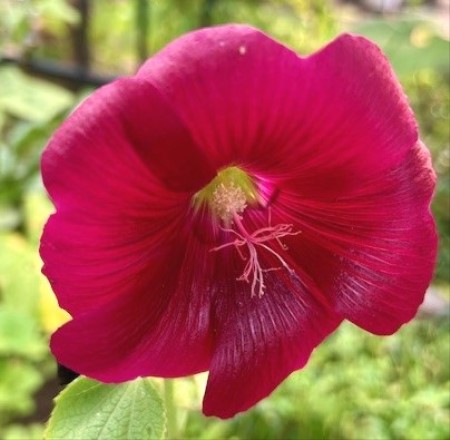 thumbnail_IMG_0637 (1)