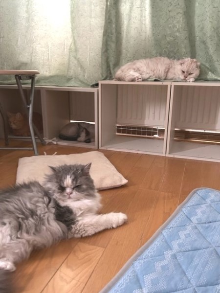 thumbnail_IMG_6679_1