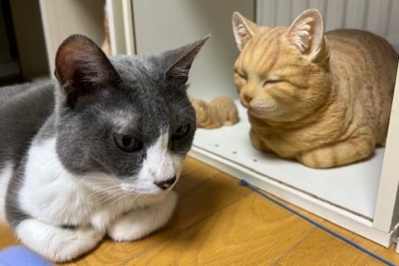 thumbnail_IMG_5327