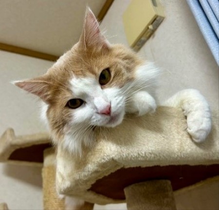 5e59adf8-7be0-4df1-b4fe-be36bb32ca40