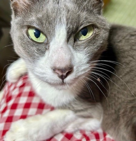 3ccc74db-9871-49d6-be54-8c25e63906b7