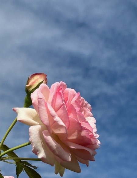 thumbnail_IMG_5495 (1)