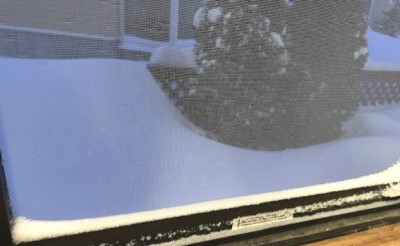 thumbnail_IMG_3725 (1)