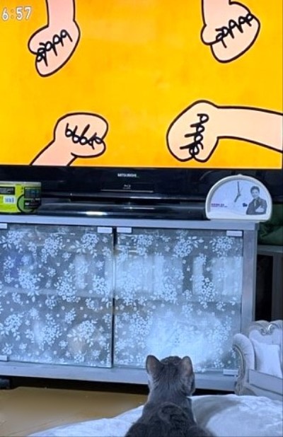 3456