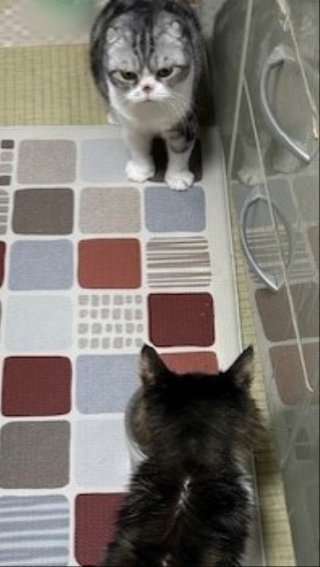 thumbnail_IMG_7936 (1)