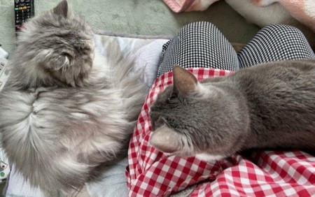 83437c11-e321-484e-bc0b-2f8daf3540f0