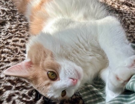 thumbnail_IMG_8621 (1)