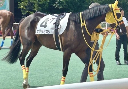 thumbnail_IMG_0462 (1)