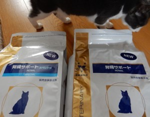 猫がガツガツ食べる腎臓病用フード 猫だらけ Powered By ライブドアブログ