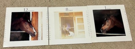 thumbnail_IMG_5942 (2)