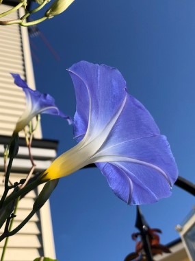 IMG_0755_2