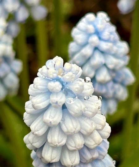 thumbnail_IMG_5269 (1)