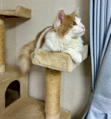 e3d5d460-3c48-4c28-ab50-e0d2f381bb65