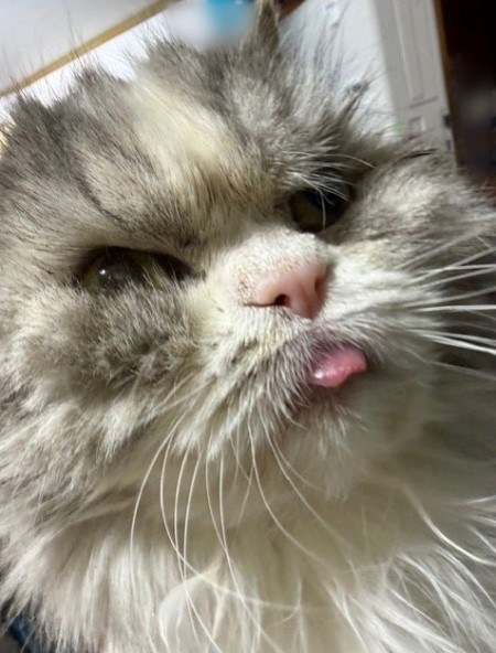 cb5986f5-4b7b-465c-a436-7e5bc6ef8e71