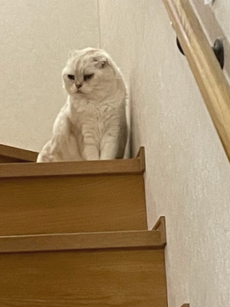 4074