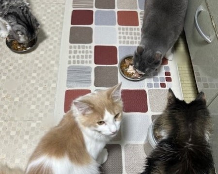 thumbnail_IMG_6081 (1)