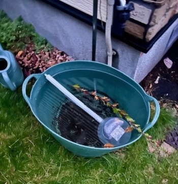 thumbnail_IMG_4307 (1)