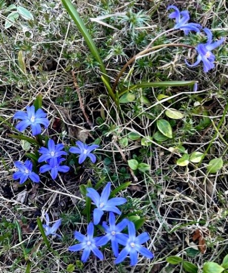 thumbnail_IMG_4751 (3)