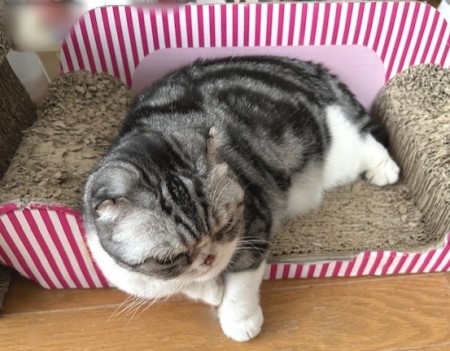 thumbnail_IMG_5865 (1)