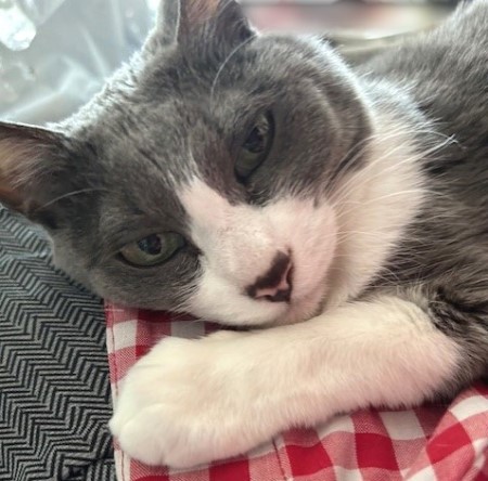 thumbnail_IMG_1204 (1)