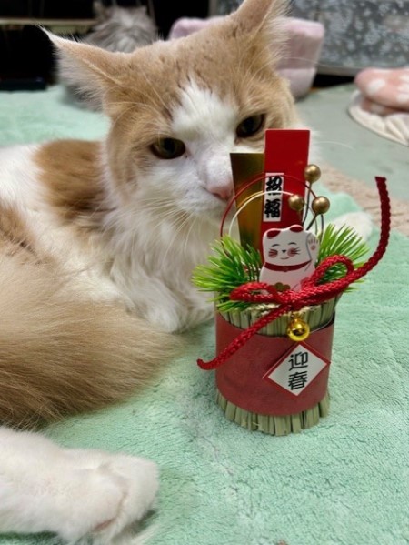 thumbnail_IMG_6032 (1)