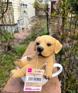 ダイソーの330円のガーデングッズいろいろ 猫だらけ Powered By ライブドアブログ ダイソーの330円のガーデングッズいろいろ 猫だらけ Powered By ライブドアブログ